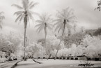 Tropical Lagoon, Tahiti  #YNS-753.  Infrared Photograph,  Stretched and Gallery Wrapped, Limited Edition Archival Print on Canvas:  60 x 40 inches, $1590.  Custom Proportions and Sizes are Available.  For more information or to order please visit our ABOUT page or call us at 561-691-1110.