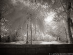 Tropical , Costa Rica #YNS-779.  Infrared Photograph,  Stretched and Gallery Wrapped, Limited Edition Archival Print on Canvas:  56 x 40 inches, $1590.  Custom Proportions and Sizes are Available.  For more information or to order please visit our ABOUT page or call us at 561-691-1110.