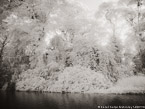 Tropical Estuary, Costa Rica #YNS-803.  Infrared Photograph,  Stretched and Gallery Wrapped, Limited Edition Archival Print on Canvas:  56 x 40 inches, $1590.  Custom Proportions and Sizes are Available.  For more information or to order please visit our ABOUT page or call us at 561-691-1110.