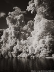Tropical Estuary, Costa Rica #YNS-804.  Infrared Photograph,  Stretched and Gallery Wrapped, Limited Edition Archival Print on Canvas:  40 x 56 inches, $1590.  Custom Proportions and Sizes are Available.  For more information or to order please visit our ABOUT page or call us at 561-691-1110.