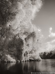 Tropical Estuary, Costa Rica #YNS-812.  Infrared Photograph,  Stretched and Gallery Wrapped, Limited Edition Archival Print on Canvas:  40 x 56 inches, $1590.  Custom Proportions and Sizes are Available.  For more information or to order please visit our ABOUT page or call us at 561-691-1110.